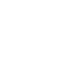 logo-250px